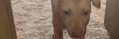 darcprince OnlyFans Leaked 

 picture 2