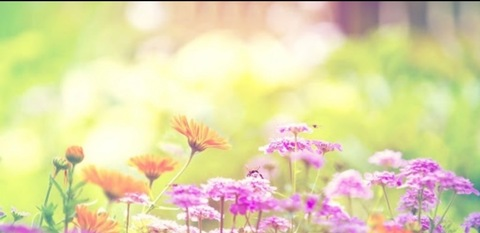 Free access to dazed_meadows (🌸🍃𝐷𝑎𝑧𝑒𝑦 🍃🌸) Leak OnlyFans 

 picture 2
