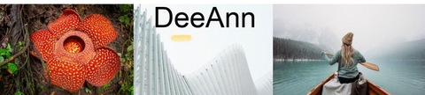 deanne_spicy OnlyFans Leaks 

 picture 2