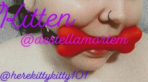 Onlyfans leaks destellamortem 

 picture 2