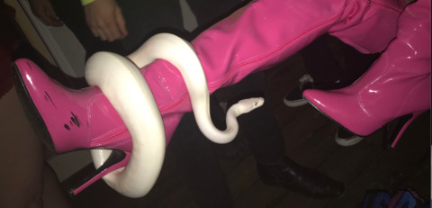 ditzygitsie (Gitsie 🌈 / ℭ𝔯𝔲𝔵 ☠️) OnlyFans Leaked Pictures & Videos 

 picture 2
