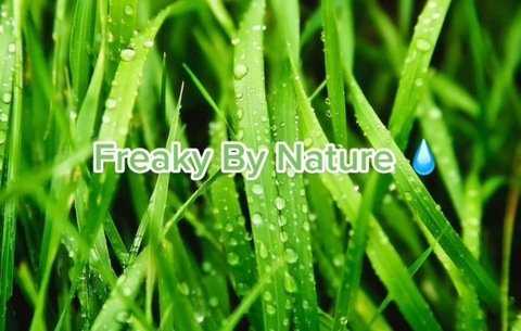 View divine_nature_freak (Divine Feminine Energy) OnlyFans 11 Photos and 19 Videos gallery 

 picture 2