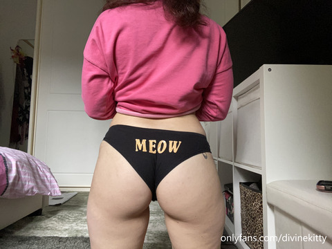 Download divinekitty OnlyFans videos and photos for free 

 picture 2
