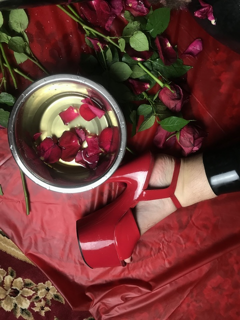 Onlyfans leaked dominatrixvera2 

 picture 2