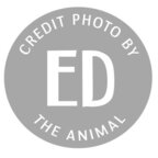 edtheanimal OnlyFans Leak 

 picture 1