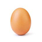 Free access to egg_slut (Yolk me harder) Leaks OnlyFans 

 picture 1