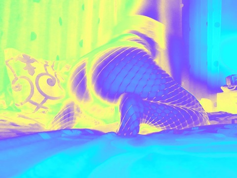 Onlyfans leaked electraaauh 

 picture 2