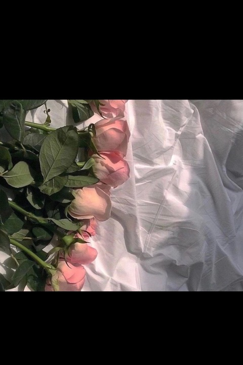 View elf_elisa (Elizabeth) OnlyFans 27 Photos and 2 Videos gallery 

 picture 2