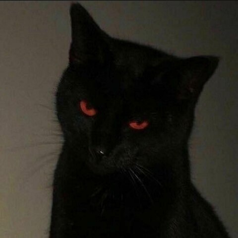 elhopelessgato OnlyFans Leak 

 picture 2