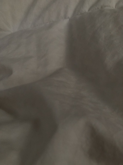 emmagrey OnlyFans Leaks 

 picture 2