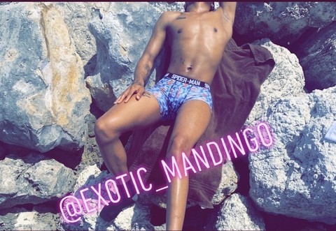 exotic_mandingo (exoticmandingo) OnlyFans Leaks 

 picture 2