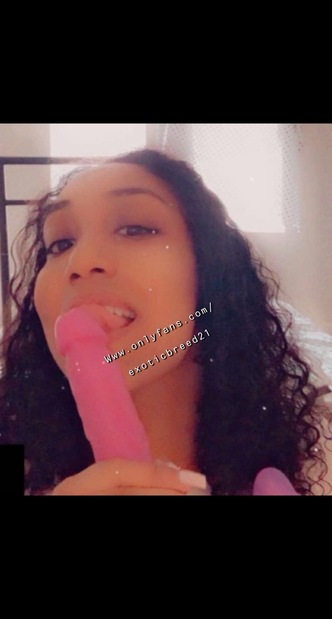 exoticbreed21 (PrincessJ❤️) free OnlyFans Leaks 

 picture 2