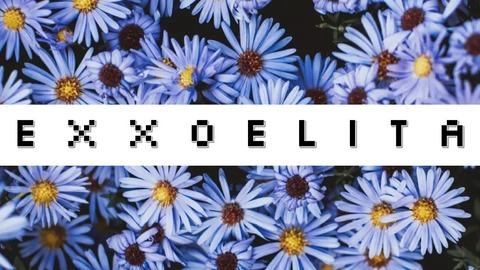 View exxoelita (Ellie ♡) OnlyFans 22 Photos and 3 Videos leaked 

 picture 2