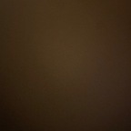 f0xxxybrown OnlyFans Leaks 

 picture 1
