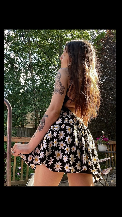 Download fairyhighfree OnlyFans content for free 

 picture 2