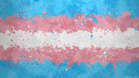 falltrans leaked gallery photo 2