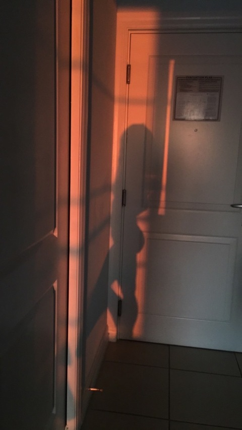 felicityshagwelllll69 OnlyFans Leaked Photos and Videos 

 picture 2