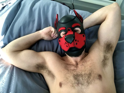 @fitmusclepup leaked Onlyfans gallery for free 

 picture 2