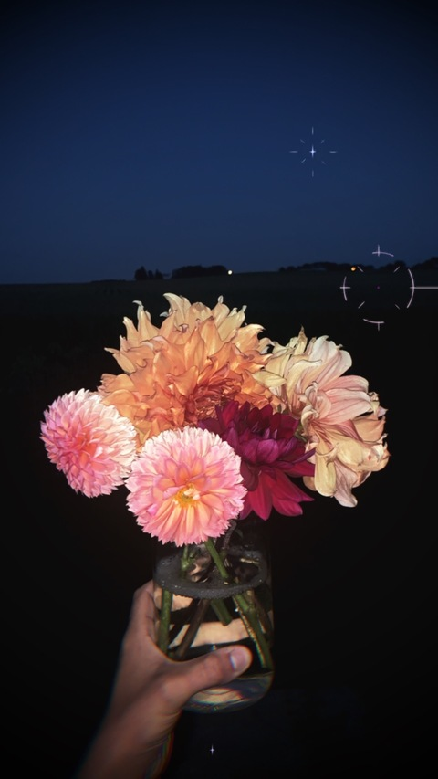 floralfauna OnlyFans Leak 

 picture 2