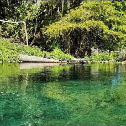 View floridaadventures OnlyFans content for free 

 picture 2