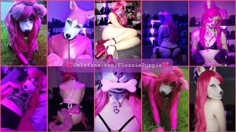 View flossiepuppie OnlyFans videos and photos for free 

 picture 2