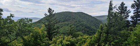 forestbearnj OnlyFans Leaked Photos and Videos 

 picture 2