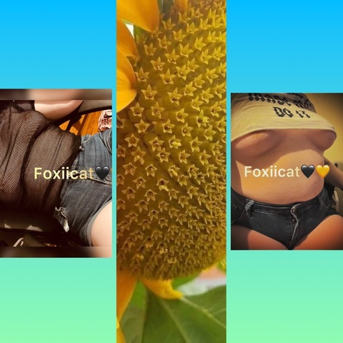 @foxiicat leaks Onlyfans videos and photos for free 

 picture 2