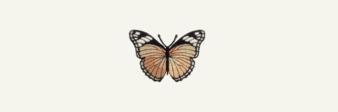 freespiritkk (Butterfly Babe) free OnlyFans Leaks 

 picture 2