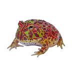froggo123 OnlyFans Leaked
picture 1