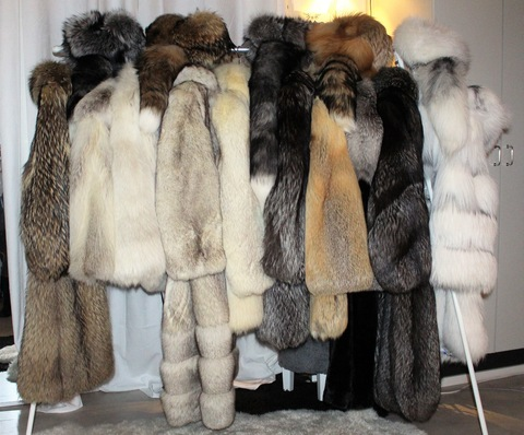 @furcoatfun leak Onlyfans videos and photos for free 

 picture 2