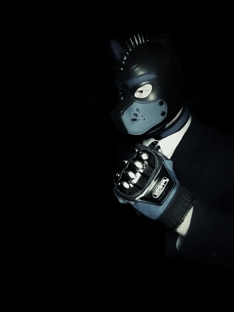 @gabethealphapup leaked Onlyfans videos for free 

 picture 2