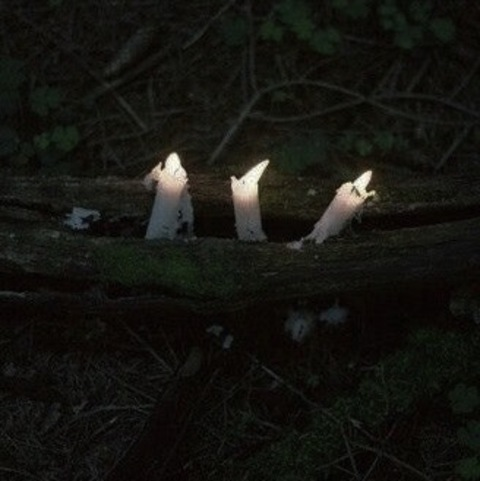 ghostly_lilacs OnlyFans Leaked (607 Photos and 90 Videos) 

 picture 2