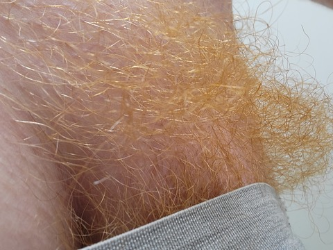ginger-guy OnlyFans Leaks 

 picture 2