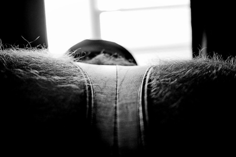 Onlyfans leaked gingerbear69 

 picture 2