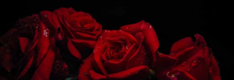 gothicbeauty00 (Tiffany Black) OnlyFans Leaked Content 

 picture 2