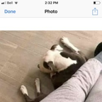 griffith OnlyFans Leaked (0 Photos and 0 Videos) 

 picture 1