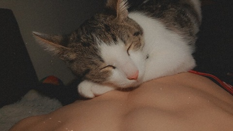 habibi01 leaked gallery photo 2