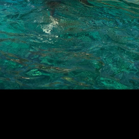 Free access to halieleo Leak OnlyFans 

 picture 2