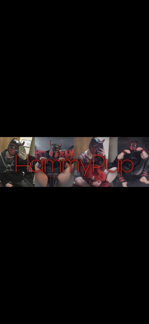 hammypup (Hammy Pup!) OnlyFans Leaks 

 picture 2