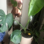 happylittlesunflower (Jus call me sunny 🌞) free OnlyFans Leaks 

 picture 1