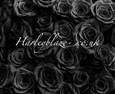 Download harleyblaze0 OnlyFans content for free 

 picture 2