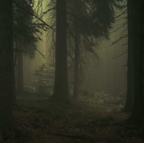 Onlyfans leak haunted_ho 

 picture 2