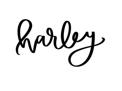 heathenharley OnlyFans Leaked (267 Photos and 157 Videos) 

 picture 2