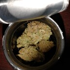 highlife412 (Stardawg) free OnlyFans Leaks 

 picture 1