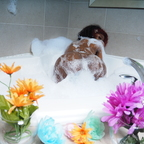 @honeybrowncoco leak Onlyfans content free 

 picture 1