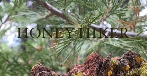 honeyhiker (Honeygirl) free OnlyFans Leaked Content 

 picture 2