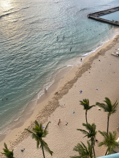 View honolulu (Steven) OnlyFans 0 Photos and 0 Videos leaks 

 picture 2