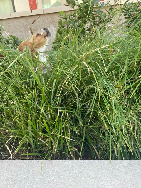 imhereforagoodtimee leaked gallery photo 2