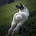 imrichbunny OnlyFans Leaks 

 picture 1