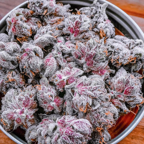 View indiankeef OnlyFans content for free 

 picture 2